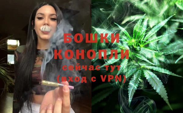 дурь Володарск