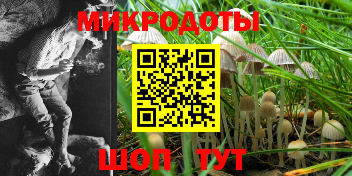 цены наркотик  Вход с VPN  Минеральные Воды  Галлюциногенные грибы мицелий 
