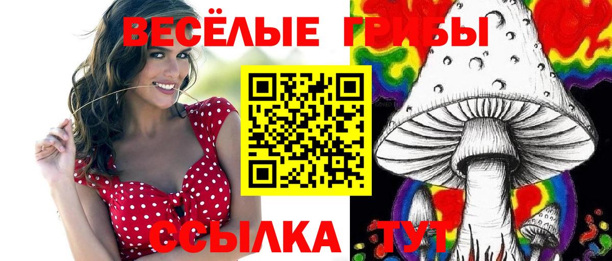 Псилоцибиновые грибы мухоморы Минеральные Воды