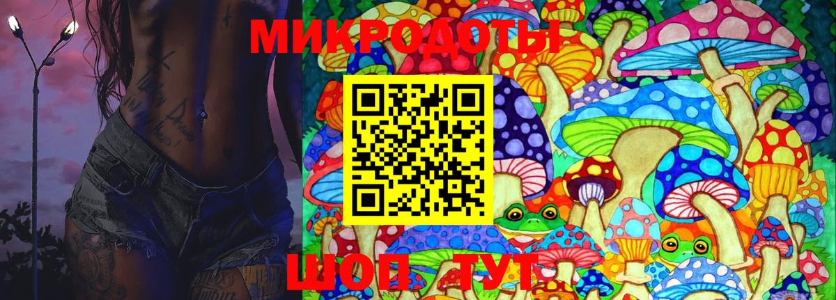 Псилоцибиновые грибы Cubensis  где продают   Минеральные Воды 